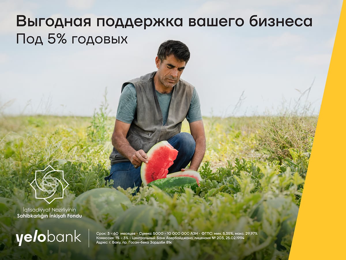 Получите бизнес-кредит в Yelo Bank всего под 5% годовых!