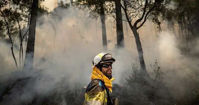 İspaniyanın Tenerife adasında meşə yanğını baş verib