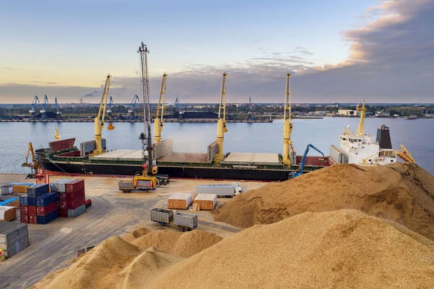 Zelenski Bolqarıstanla “Taxıl dəhlizi”nin qorunmasını müzakirə edib