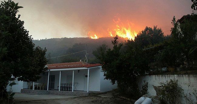 Tenerife meşə yanğınları davam edir