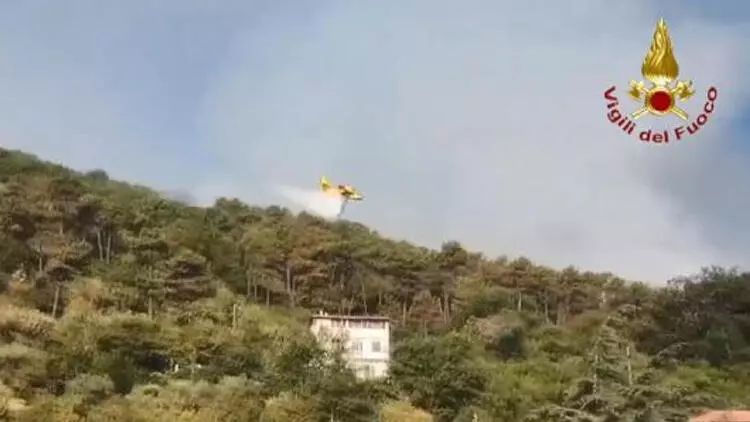 İtaliyanın iki bölgəsində meşə yanğını baş verib