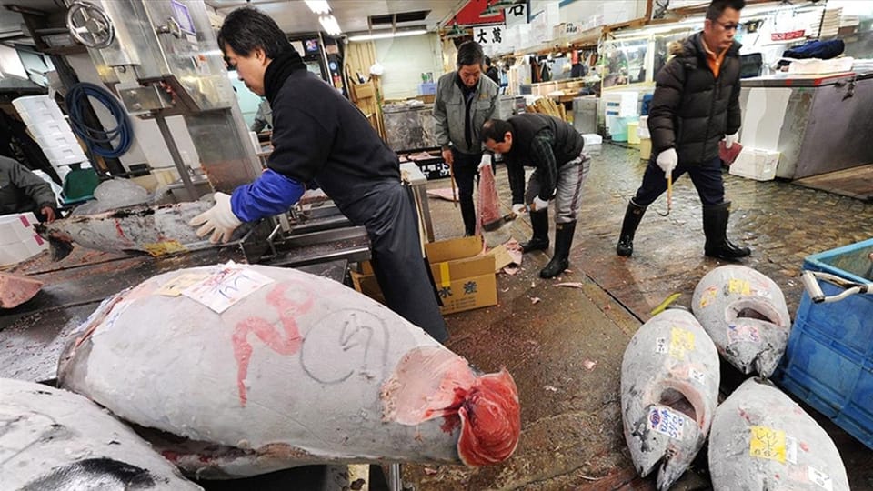 Çin Yaponiyadan bütün dəniz məhsulları idxalını dayandırıb