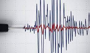 Sakit okeanda 4,9 maqnitudada zəlzələ olub