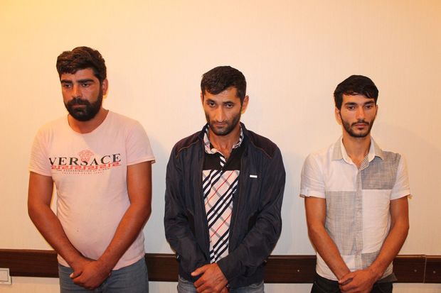 Oğuzda evlərdən 300 kiloqram fındıq oğurlayan şəxslər saxlanılıblar - VİDEO