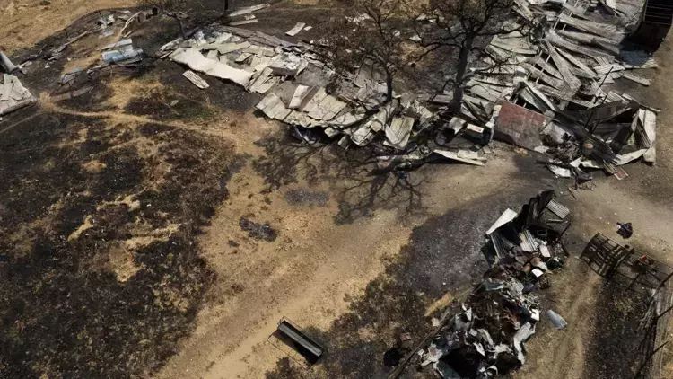 Yunanıstanda 81 min hektar ərazi kül oldu