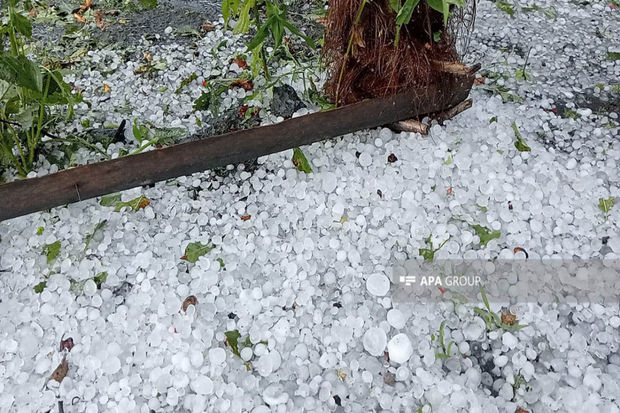 Zaqatalaya dolu düşüb, elektrik enerjisinin verilişində məhdudiyyətlər yaranıb - FOTO