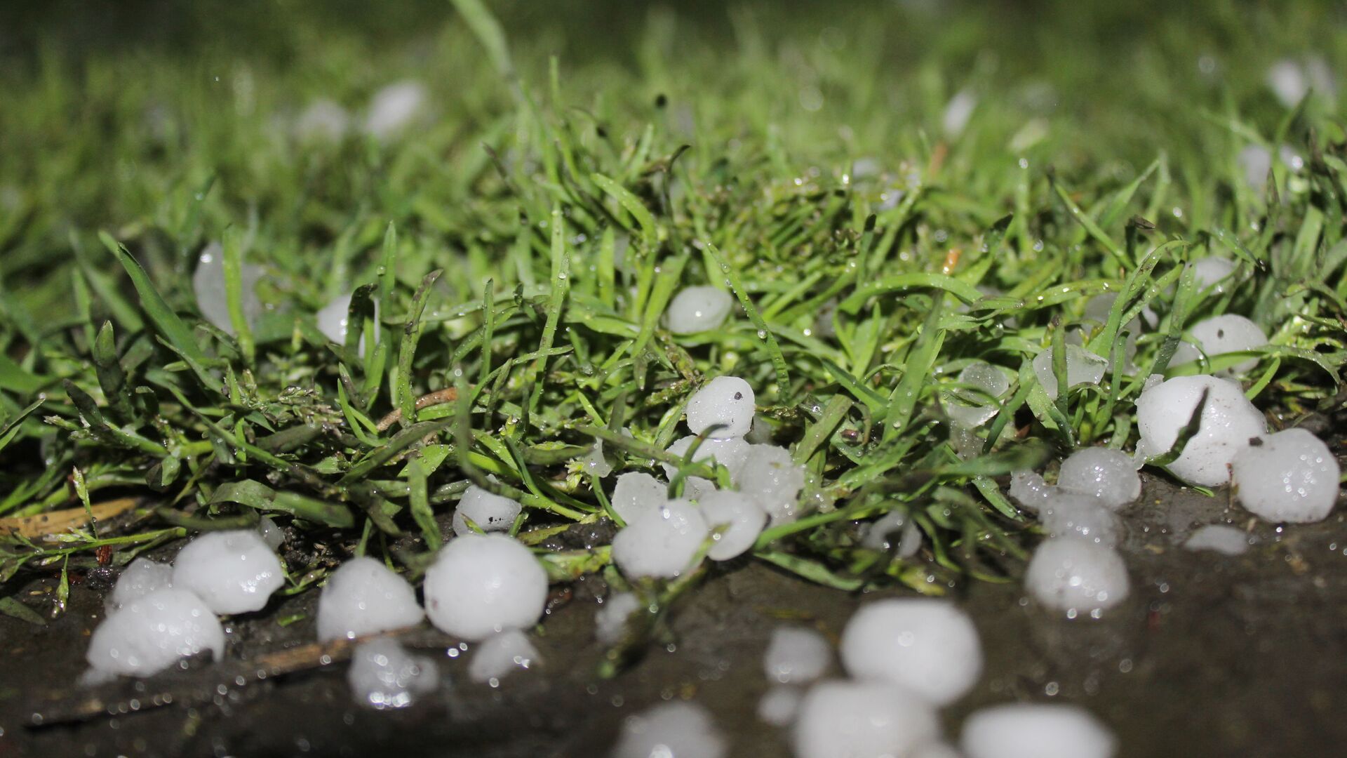 Qaxda dolu və leysan fəsadlar törədib