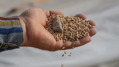 Ukrayna Avropanın 3 ölkəsini məhkəməyə verməyə hazırlaşır