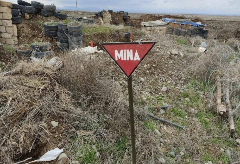 Mina qurbanları və Azərbaycan vətəndaş cəmiyyəti təmsilçiləri BMT-yə birgə müraciət ünvanlayıblar