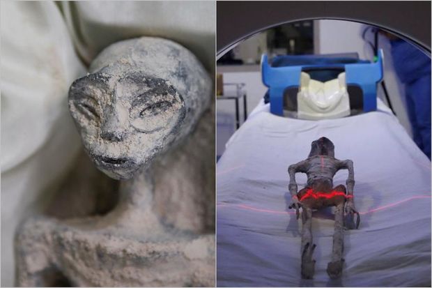 Meksikada tapılan yadplanetlilərin qalıqlarının rentgeni çəkildi - Sirr pərdəsi açılır - FOTO