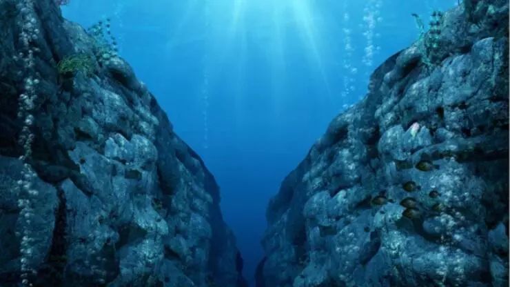 Yerin ən dərin nöqtəsində yeni virus aşkar edilib