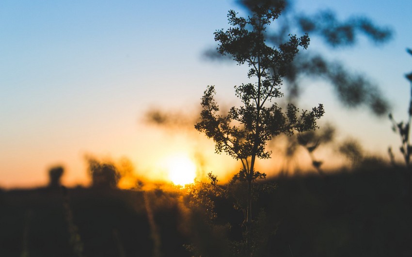 Şənbə gününün hava proqnozu açıqlanıb