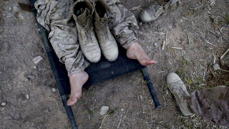Meydanda qalan döyüşçülərin meyitlərinin toplanması üçün Rusiya sülhməramlıları ilə iş aparılır - Prezidentin köməkçisi