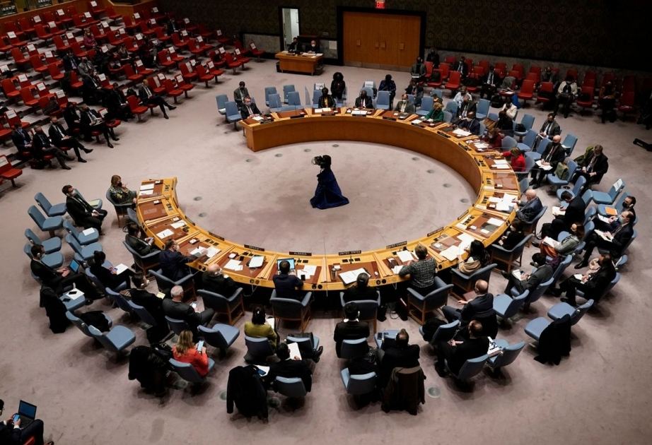 Bu ölkə də BMT Təhlükəsizlik Şurasına üzv olmaq istəyir