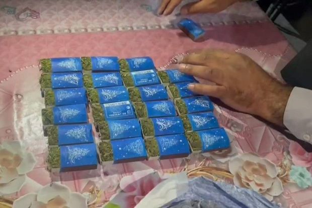 Kür çayı sahilində çətənə kolu yetişdirən şəxs saxlanılıb - FOTO