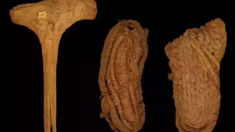Avropanın ən qədim ayaqqabısı tapılıb
