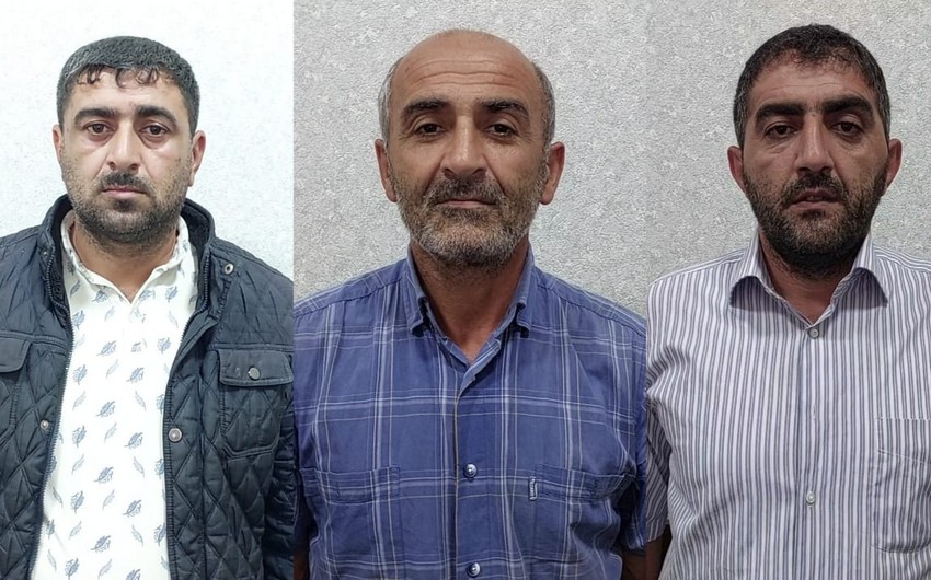 Lənkəranda meşədən mal-qara oğurlayanlar həbs edilib