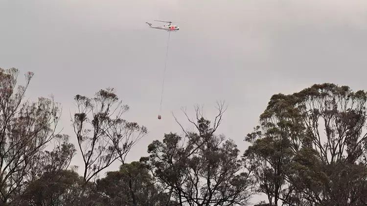 Avstraliyada 5 min hektardan çox ərazi külə dönüb