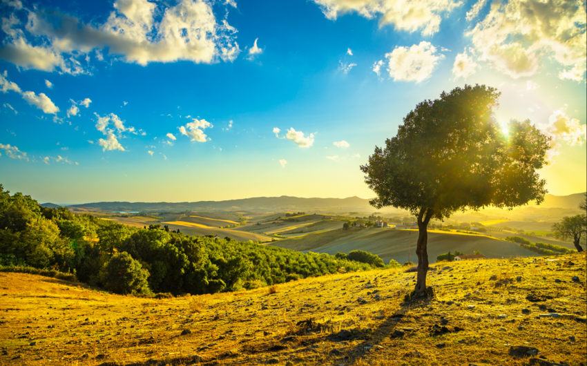 Oktyabrın 8-də Bakıda havanın temperaturu iqlim normasından 4 dərəcə yuxarı olub