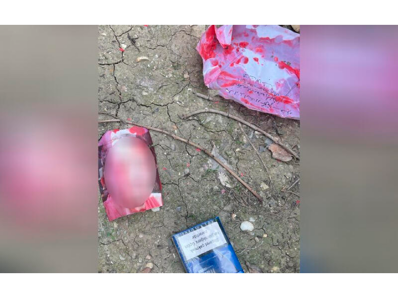 Xırdalan qəbiristanlığında cadu - Qanlı şəkilləri kim atır? - FOTO