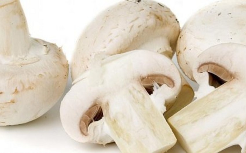 Qusarda 3 nəfər göbələkdən zəhərlənib, ikisi ölüb