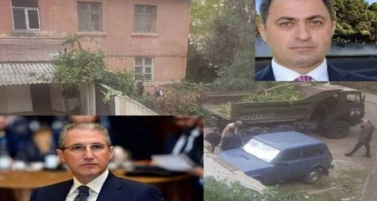 Nizami rayonunda “ağac soyqırımı” - Nazir və başçı məsələdən xəbərdardırlar, amma “soyqırım” davam edir + Fotolar, Video