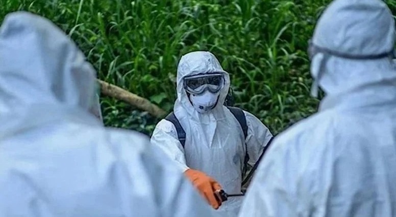 Bu ölkədə heyvanlar arasında xəstəlik yenidən canlandı: yoluxma halları artdı