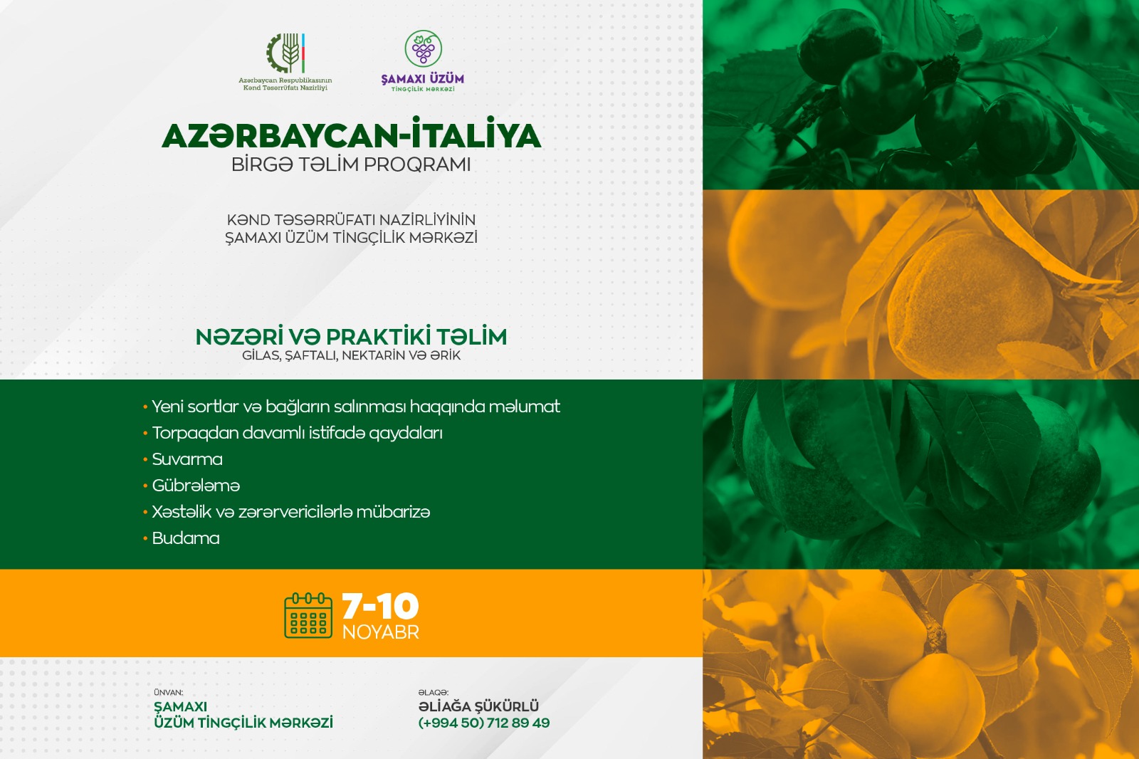 İtaliyadan dəvət olunan mütəxəssislər yerli aqronom və fermerlərə çəyirdəkli meyvəçilik üzrə təlim keçəcək