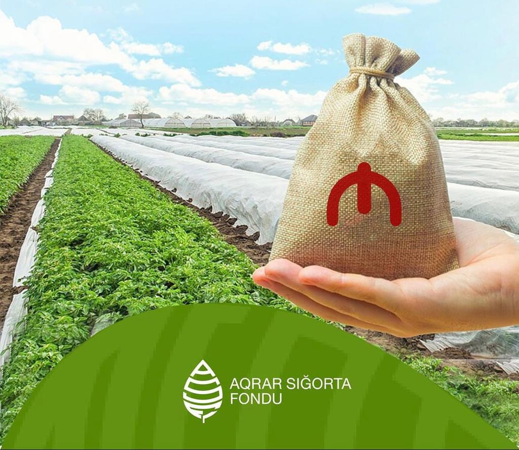 Aqrar Sığorta Fondu zərər ödənişlərinə başladı