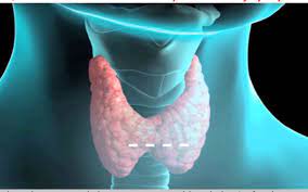 Qalxanabənzər vəzi üçün təhlükəli hallar açıqlanıb