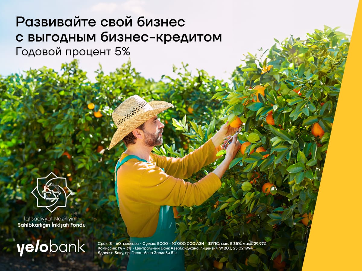 Начните развивать свой бизнес с кредитом всего 5% годовых