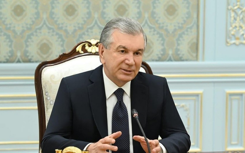 Şavkat Mirziyoyev Özbəkistanda türk gənclərinin Kreativ Yaradıcılıq Mərkəzinin yaradılmasını təklif edib