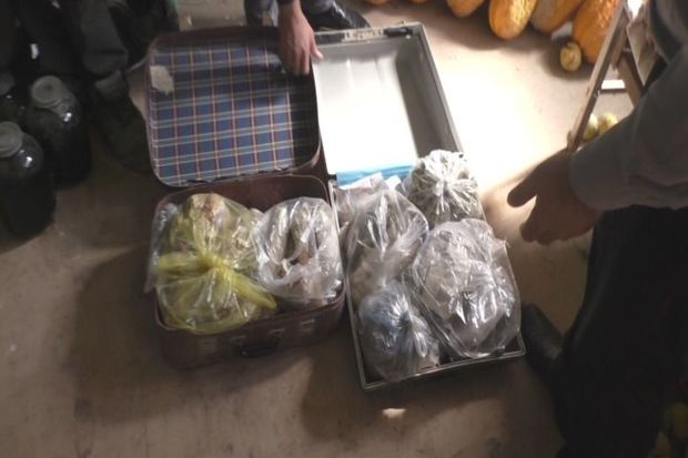 Ağdaşda əməliyyat: Saxlanılanlar var - FOTO/VİDEO