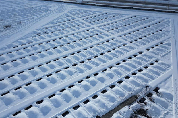 Türkiyədə qış üçün məzar hazırlıqlarına başlanılıb - VİDEO