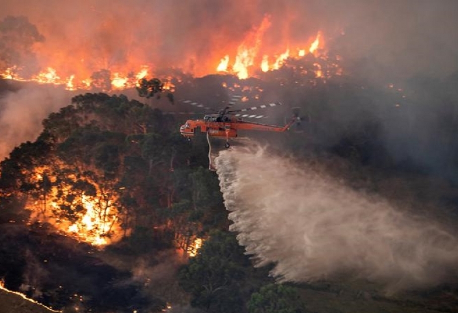Qərbi Avstraliyada meşə yanğınları səbəbindən çoxlu insan təxliyə edilib