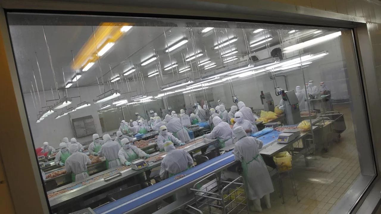 Yaponiyada quş qripi: 72 min ev quşu məhv ediləcək