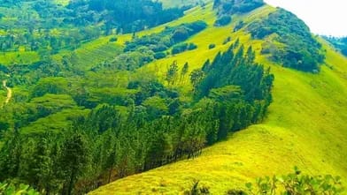 Dağda qalan 180 şagird xilas edilib