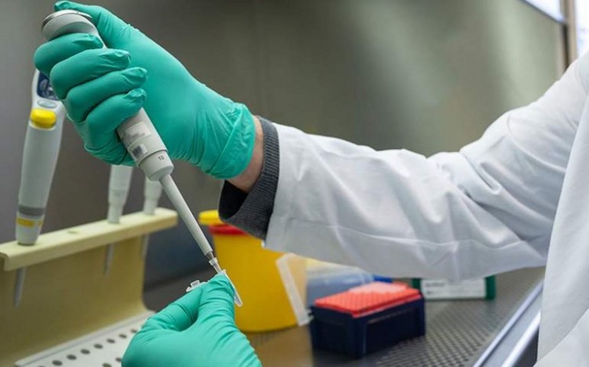 İtaliyada ilk dəfə mikoplazma pnevmoniyası qeydə alınıb