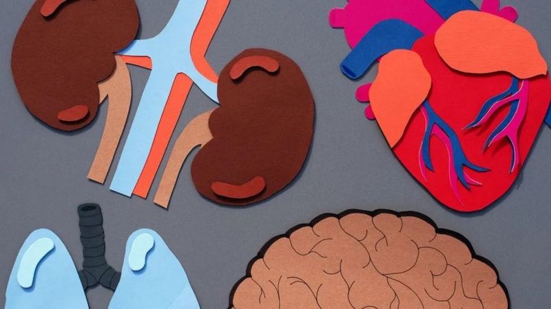 Orqanların nə qədər sürətli qocaldığını müəyyən edən yeni qan testi hazırlanır