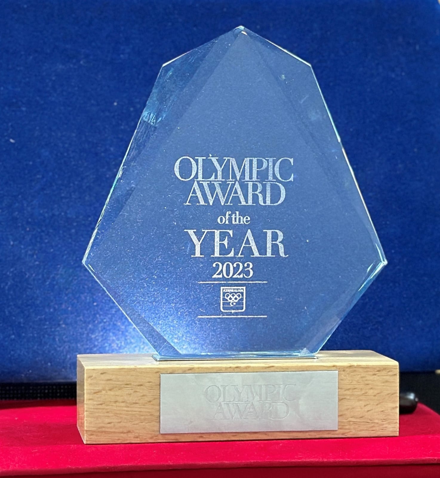 ADRA “Ilin ən aktiv tərəfdaşı” nominasiyası üzrə qalib olub