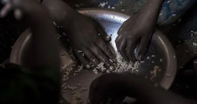 Efiopiyada 176 nəfər aclıqdan ölüb