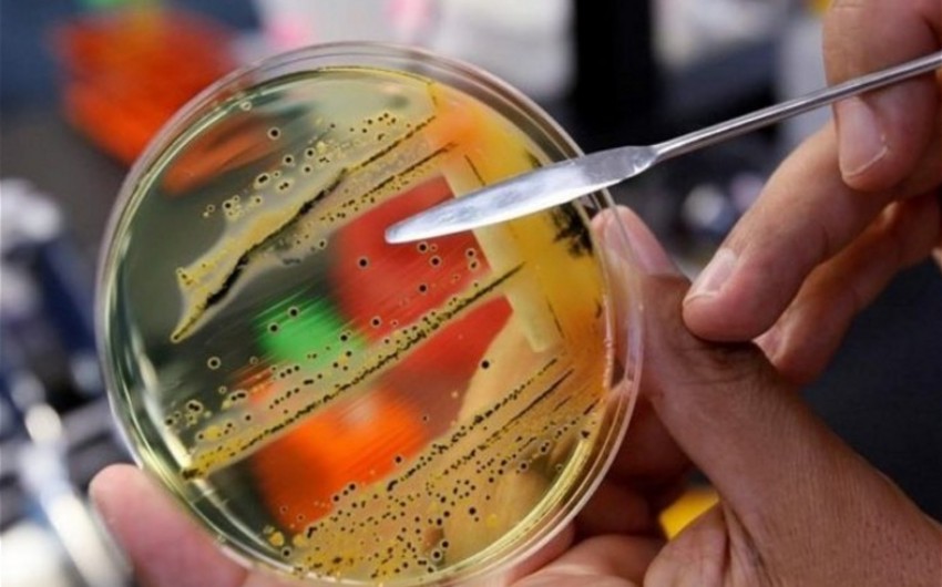 Kanadada epidemiya yayılıb, ölənlər var