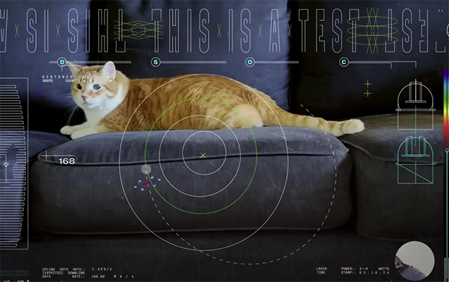 NASA kosmosdan Yerə pişik videosu göndərib - Video