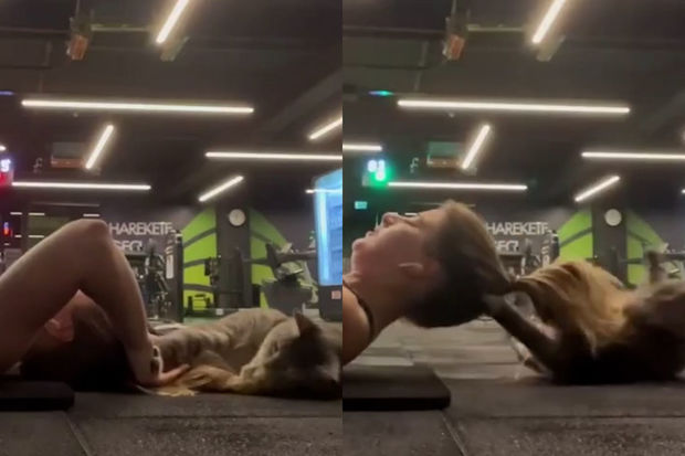 Türkiyədə idman zalında qadına “hücum edən” pişik hər kəsi güldürdü - VİDEO