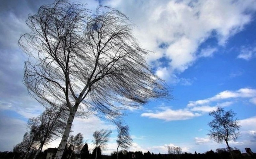 Güclü küləklə əlaqədar xəbərdarlıq edilib