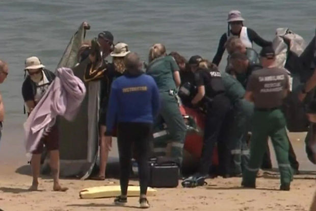 Avstraliyada köpəkbalığı yeniyetmə oğlanı parçaladı