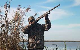 Sabirabadda qanunsuz ov etmək istəyən şəxslər saxlanılıb