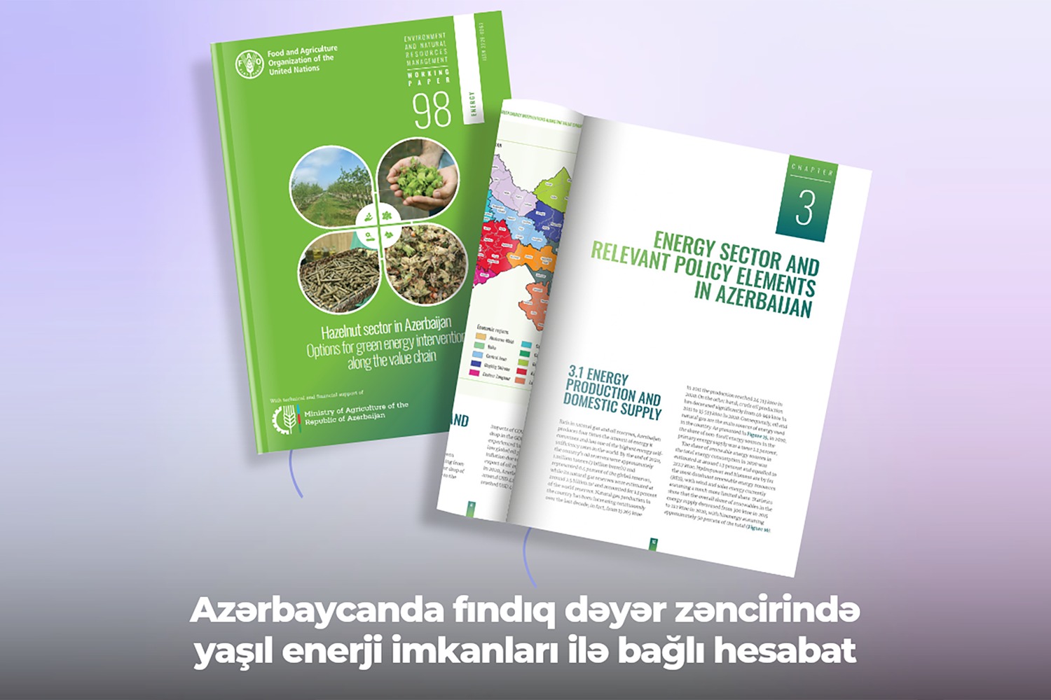 Azərbaycanda fındıq dəyər zəncirində yaşıl enerji imkanları ilə bağlı hesabat dərc edilib