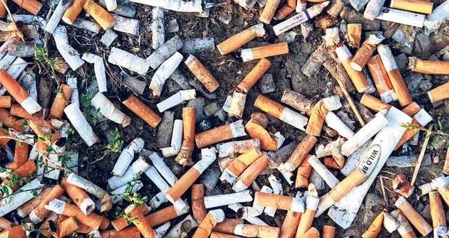 Siqaret kötüklərindən yollar düzəldiləcək