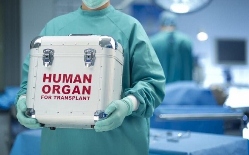 Şəxsin ölümündən sonra orqanlarının bağışlanması ilə bağlı razılıq ərizəsinin forması təsdiqləndi